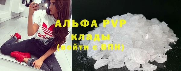 гидра Горняк