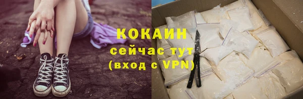 гидра Горняк