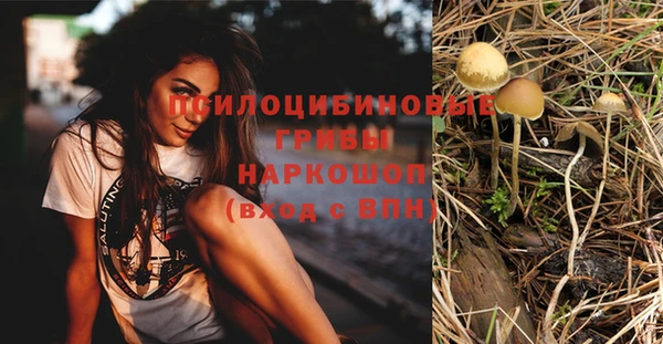 гидра Горняк