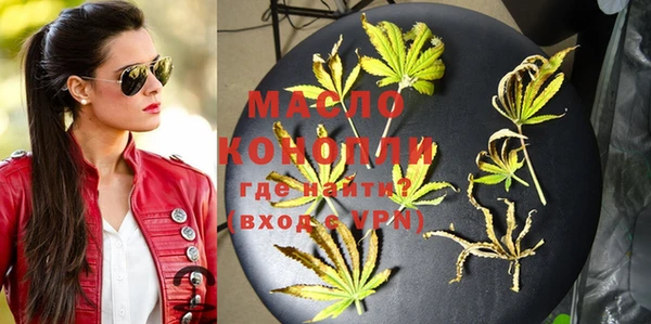 гидра Горняк