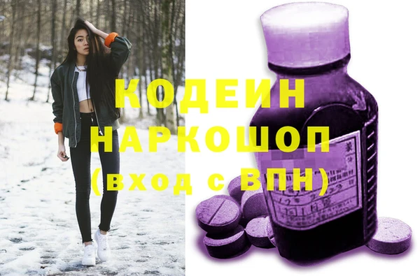 гидра Горняк
