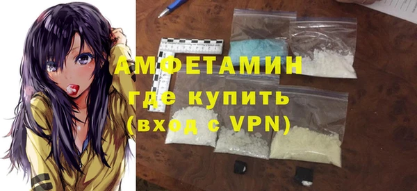 гидра Горняк