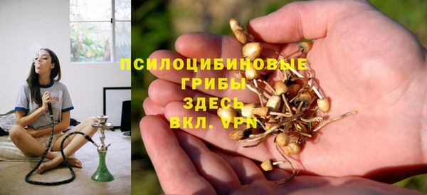 гидра Горняк